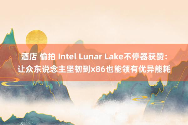 酒店 偷拍 Intel Lunar Lake不停器获赞：让众东说念主坚韧到x86也能领有优异能耗