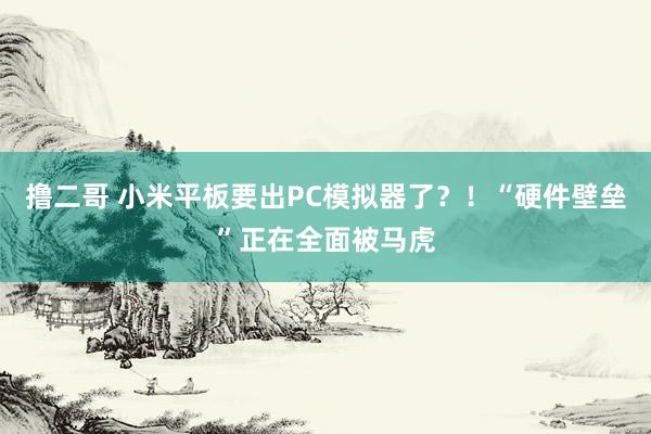 撸二哥 小米平板要出PC模拟器了？！“硬件壁垒”正在全面被马虎