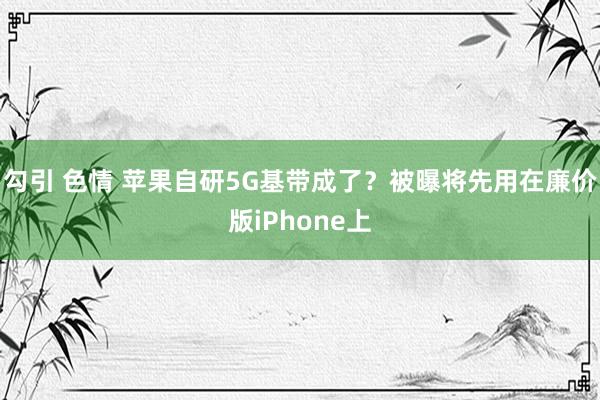 勾引 色情 苹果自研5G基带成了？被曝将先用在廉价版iPhone上