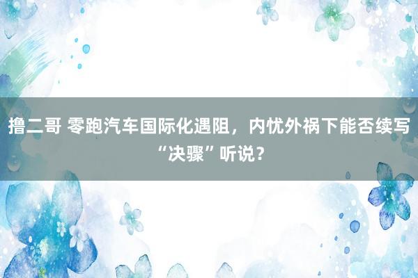 撸二哥 零跑汽车国际化遇阻，内忧外祸下能否续写“决骤”听说？