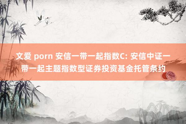 文爱 porn 安信一带一起指数C: 安信中证一带一起主题指数型证券投资基金托管条约