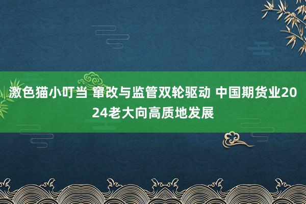 激色猫小叮当 窜改与监管双轮驱动 中国期货业2024老大向高质地发展