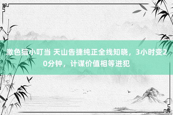 激色猫小叮当 天山告捷纯正全线知晓，3小时变20分钟，计谋价值相等进犯