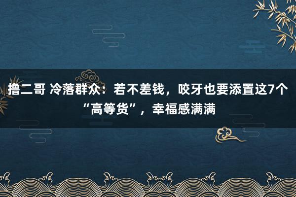 撸二哥 冷落群众：若不差钱，咬牙也要添置这7个“高等货”，幸福感满满