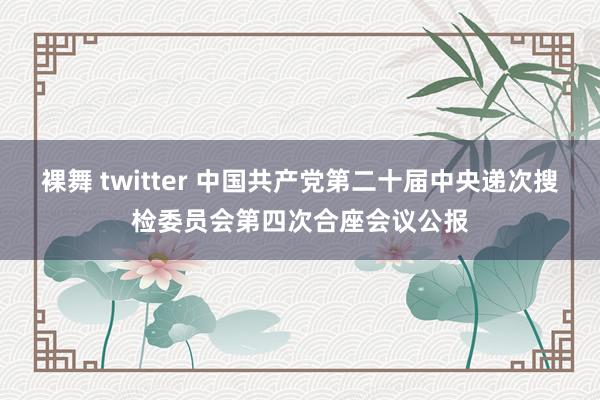 裸舞 twitter 中国共产党第二十届中央递次搜检委员会第四次合座会议公报