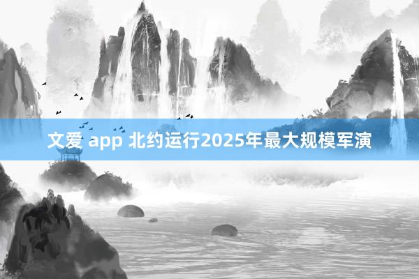 文爱 app 北约运行2025年最大规模军演