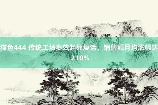 猫色444 传统工场奏效起死复活，销售额月均涨幅达 210%