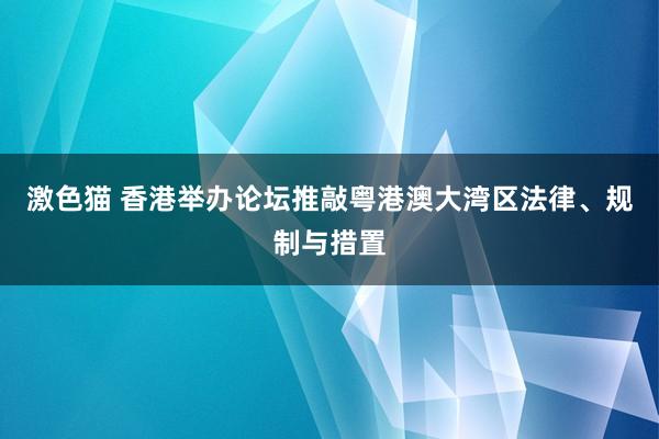 激色猫 香港举办论坛推敲粤港澳大湾区法律、规制与措置