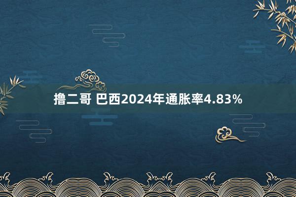 撸二哥 巴西2024年通胀率4.83%