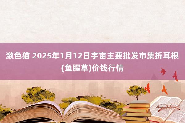 激色猫 2025年1月12日宇宙主要批发市集折耳根(鱼腥草)价钱行情