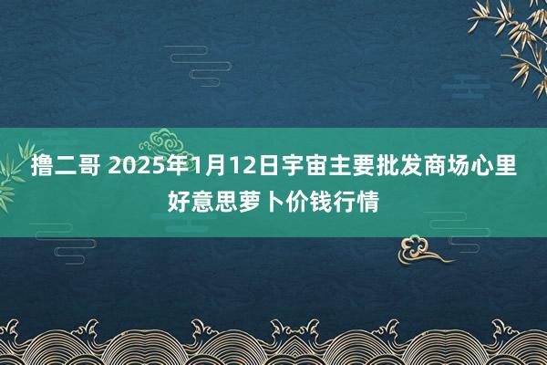 撸二哥 2025年1月12日宇宙主要批发商场心里好意思萝卜价钱行情