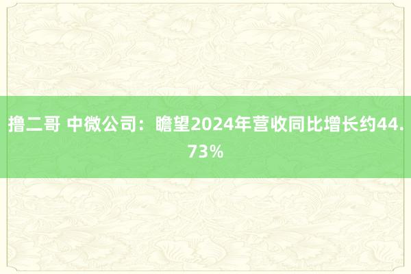 撸二哥 中微公司：瞻望2024年营收同比增长约44.73%