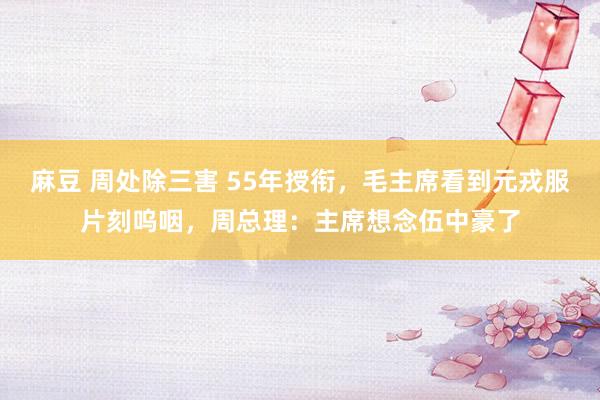 麻豆 周处除三害 55年授衔，毛主席看到元戎服片刻呜咽，周总理：主席想念伍中豪了