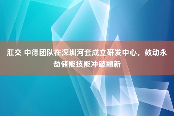 肛交 中德团队在深圳河套成立研发中心，鼓动永劫储能技能冲破翻新