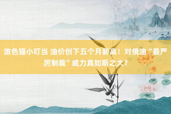 激色猫小叮当 油价创下五个月新高！对俄油“最严厉制裁”威力真如斯之大？